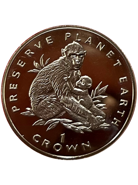 Preserve Planet Earth (P.P.E) - Barbary Ape