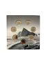 2026 100th Anniversary of Queen Elizabeth II One Pound Collection